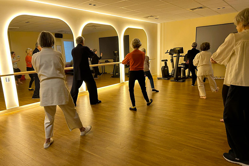 Cours de Taichi Chuan/Taji Quan