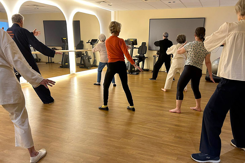 Cours de Taichi Chuan/Taji Quan